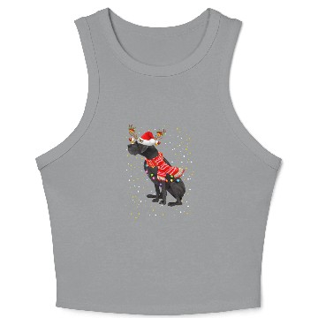 Discover Great Dane Reindeer Christmas Light Crop Tank Top