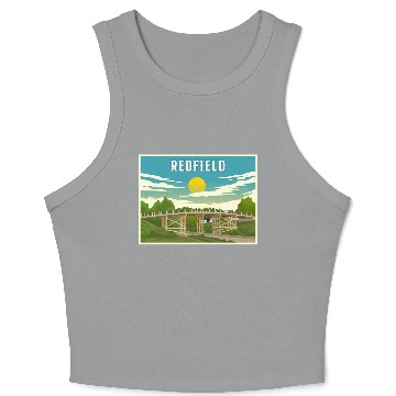 Discover Redfield Historic James Street Bridge Crop Tank Top