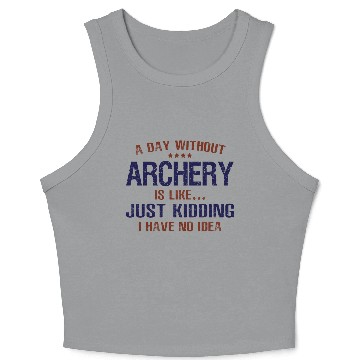 Discover A Day Without Archery Funny Crop Tank Top