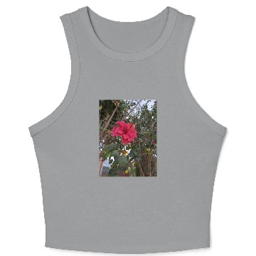Discover Hibiscus Crop Tank Top
