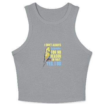 Discover I Don't Always Scream For No Reason Oh Wait Crop Tank Top