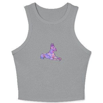 Discover Colorful Great Dane Crop Tank Top