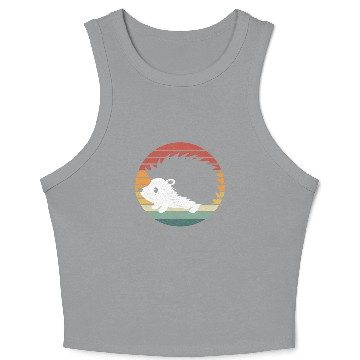 Discover Hedgehog Lover - Vintage Sunset Hedgehog Crop Tank Top