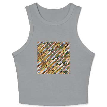 Discover Wildlife Stripe orange Collage Crop Tank Top
