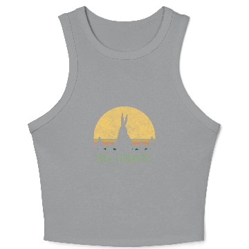 Discover Big Chungus Sunset Meme Video Game Crop Tank Top