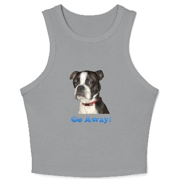 Discover Grumpy Gizmo Crop Tank Top