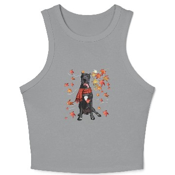 Discover Maple Dog Leaf Fall Hello Autumn Funny Great Dane Crop Tank Top