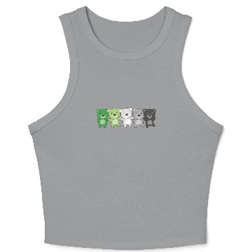 Discover Aromantik Flag Pride Lgbtq Cute Bear Crop Tank Top