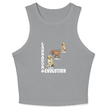 Discover Labrador Lover LABRADOR EVOLUTION Funny Labrador Crop Tank Top