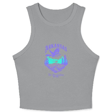 Discover Arkansas Natural State Icons Crop Tank Top