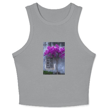 Discover Vibrant Blossom Against Rustic Wall Crop Tank Top