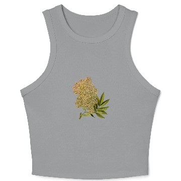 Discover African redwood (low resolution) Crop Tank Top