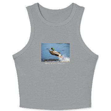 Discover Men's T / Mallard Duck Crop Tank Top