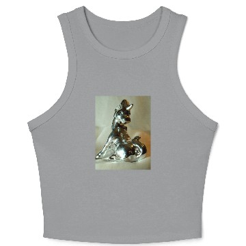 Discover Quicksilver I Crop Tank Top