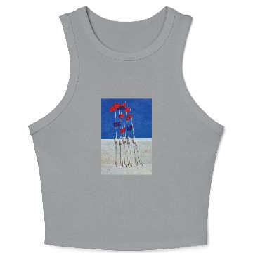 Discover Lobster Buoys 1990s Crop Tank Top