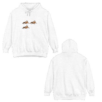 Discover Saint Bernard Training Double Sided Hoodies