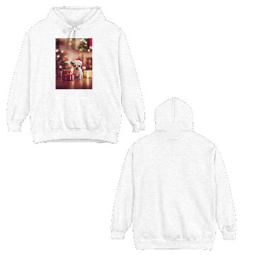 Discover Christmas 38 Double Sided Hoodies