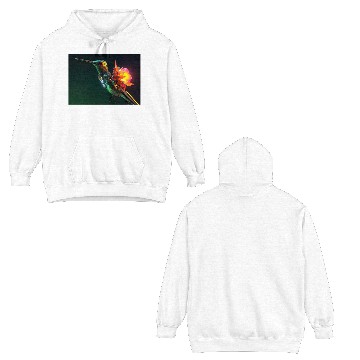 Discover Techno Hummingbird Double Sided Hoodies
