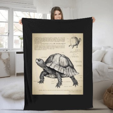 Discover Turtle Pet Box Turtle Structural Blueprint Baseball Tees Fleece Blankets