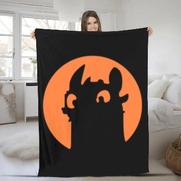 Discover Toothless from How to Train Fleece Blankets