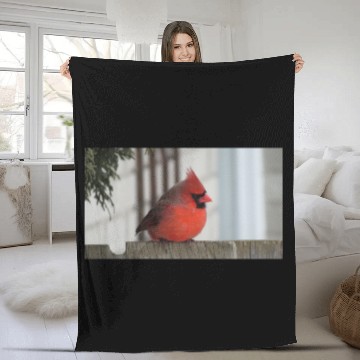 Discover Brilliant Cardinal Bird 2 Fleece Blankets