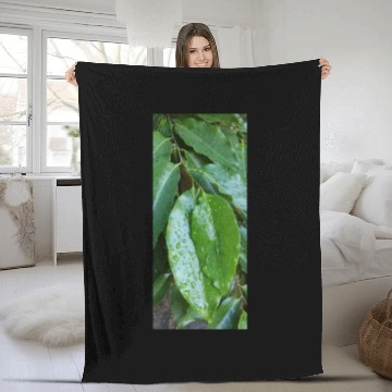 Discover beautiful green plant in the garden Fleece Blankets