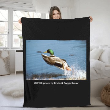Discover Men's T / Mallard Duck Fleece Blankets