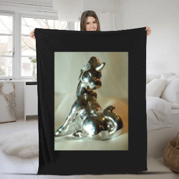 Discover Quicksilver I Fleece Blankets