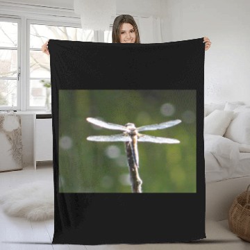 Discover Light grey dragonfly Fleece Blankets