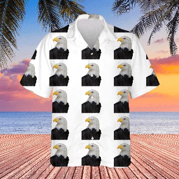 Discover Bald Eagle Hawaiians Bald Eagle Bird Face Hawaiians