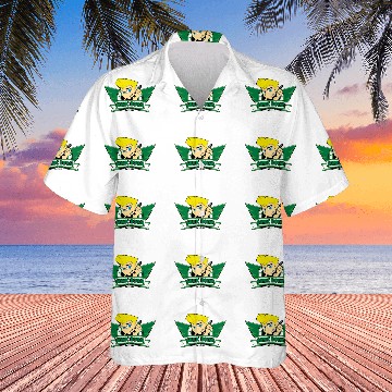 Discover Sonic Boom Hawaiians