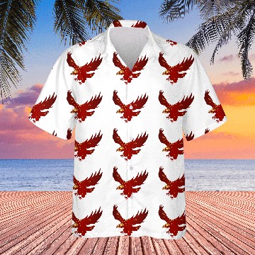 Discover us marine corps eagle Hawaiians