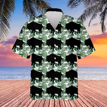 Discover Buffalo Hawaiians