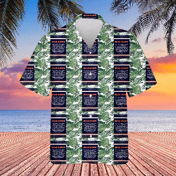 Discover Bear Down Lyrics Poster Hawaiians