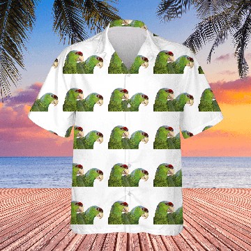 Discover lilac-crowned parrot Hawaiians