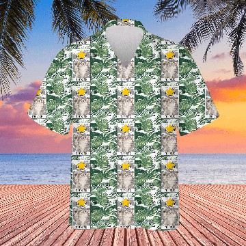 Discover The Star Tarot Card Funny Cat Tarot Card A Tarot Hawaiians