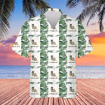 Discover Safe the planet Hawaiians