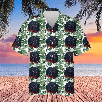 Discover Samurai Warrior Hawaiians