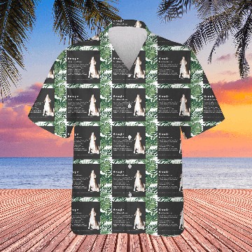 Discover Beagle Definition PWBBS Poster Hawaiians