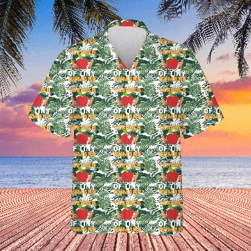 Discover Teacher of Tiny Humans Childcare Worker Gift Hawaiians