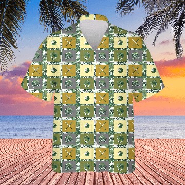 Discover Baseball Hawaiians