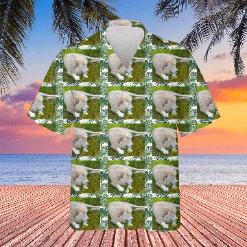 Discover Slumbering Ivory King South African White Lion Hawaiians