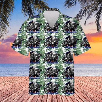 Discover Harrier Jump Jet Royal Air Force Fighterjet Hawaiians