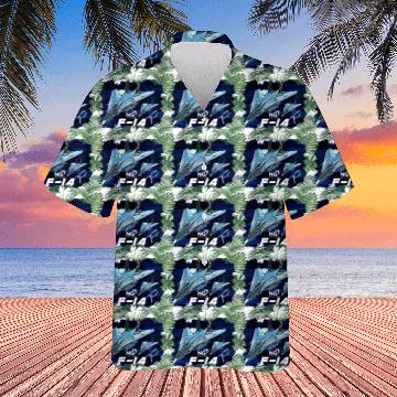 Discover F-14 Tomcat Fighterjet Hawaiians