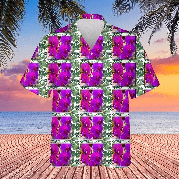Discover Orchid 4 Hawaiians