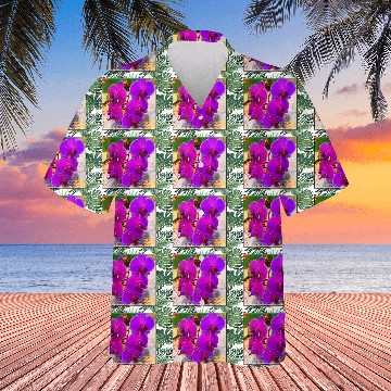 Discover Orchid 3 Hawaiians