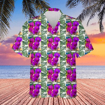 Discover Orchid 2 Hawaiians