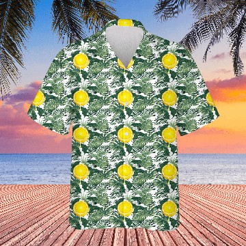 Discover Citrus - Fruits - Orange - Lime - Grapefruit - Lem Hawaiians