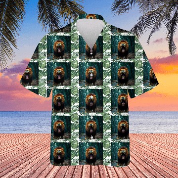 Discover Angry lion Hawaiians