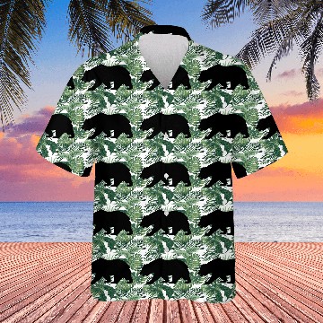 Discover California Bear Hawaiians